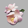 Цветы сакуры, набор 4 шт, диам 3,5 см SCB291202 нежно-розовые